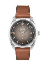 Load image into Gallery viewer, Omega Seamaster Railmaster Co-Axial Master Chronometer Small Seconds 38mm