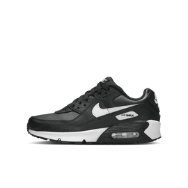 Big Kids’ Nike Air Max 90 LTR 