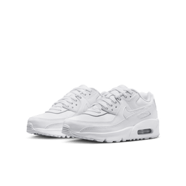 Big Kids’ Nike Air Max 90 LTR 