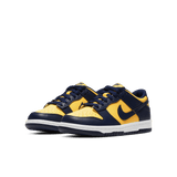 Big Kids' Nike Dunk Low 