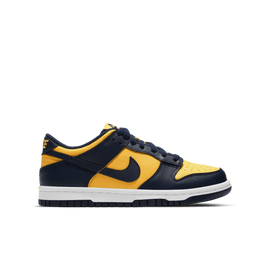 Big Kids' Nike Dunk Low 
