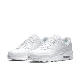 Men's Air Max 90 LTR 