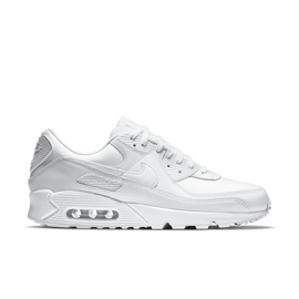 Men's Air Max 90 LTR 