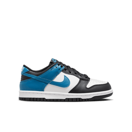 Big Kids' Nike Dunk Low 