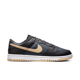 Men's Nike Dunk Low Retro 