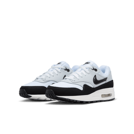 Big Kids' Air Max 1 