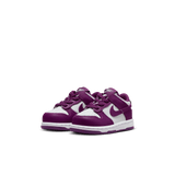 Baby/Toddler Nike Dunk Low 
