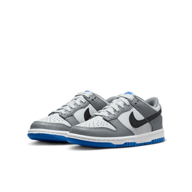 Big Kids' Nike Dunk Low 