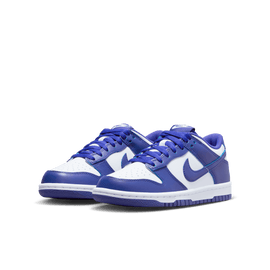 Big Kids' Nike Dunk Low 