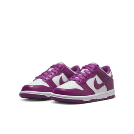 Big Kids' Nike Dunk Low 