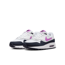 Big Kids' Nike Air Max 1 BG 
