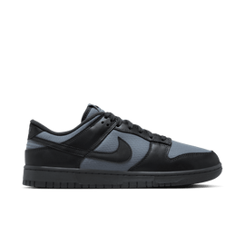 Men's Nike Dunk Low Retro SE Winterized 