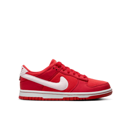 Big Kids' Nike Dunk Low 