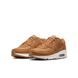 Big Kids' Nike Air Max 90 