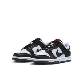 Big Kids' Nike Dunk Low 