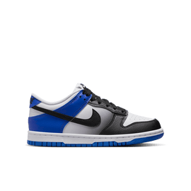 Big Kids' Nike Dunk Low 